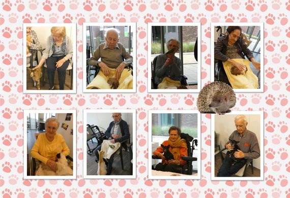 Dieren brengen bezoekje aan de bewoners van WZC Den Boogerd