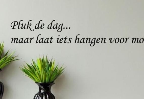 WZC Het Perrehof viert seniorenweek in stijl
